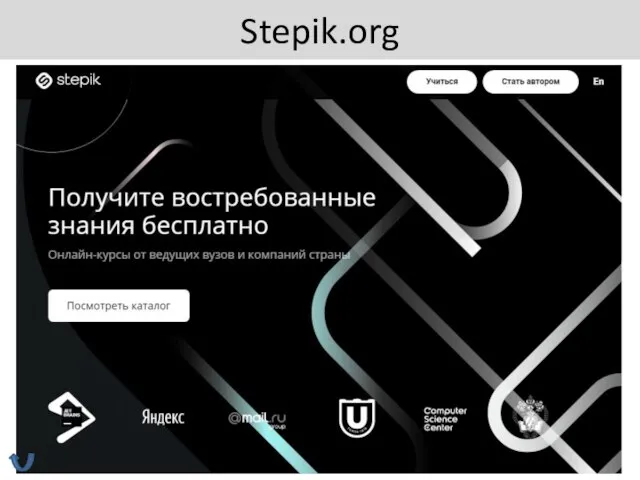 Stepik.org