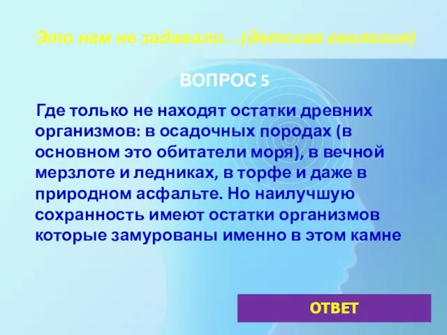 Это нам не задавали…(детская геология) ВОПРОС 5 Где только не находят остатки