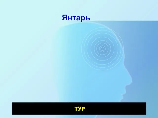 Янтарь ТУР