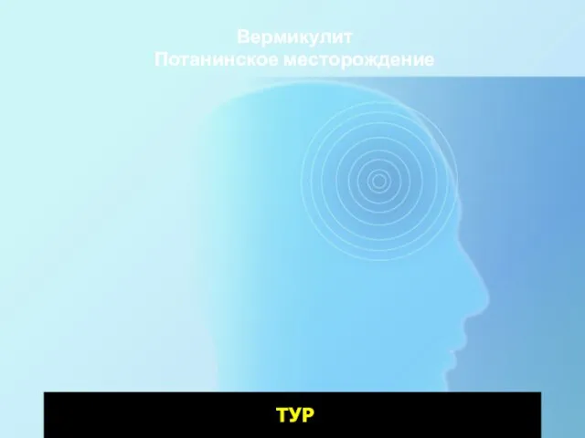 Вермикулит Потанинское месторождение ТУР