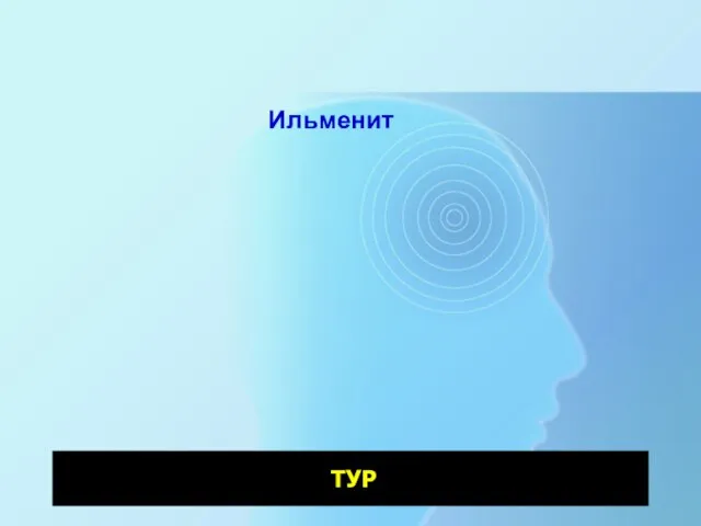 Ильменит ТУР