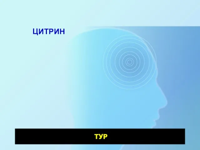 ЦИТРИН ТУР