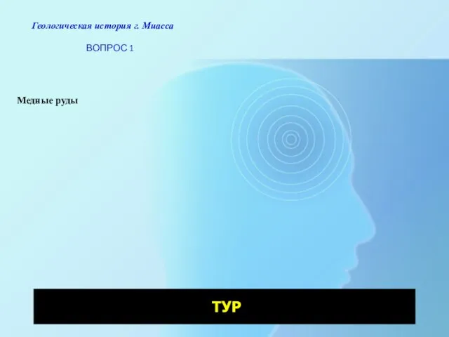 Геологическая история г. Миасса ВОПРОС 1 ТУР Медные руды