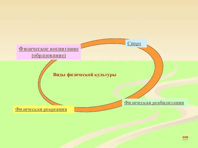 Виды физической культуры Физическая реабилитация Физическая рекреация Спорт Физическое воспитание (образование)