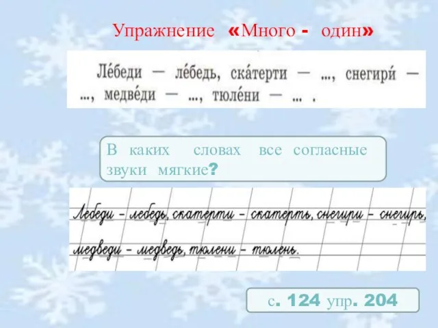 Упражнение «Много - один» с. 124 упр. 204 В каких словах все согласные звуки мягкие?