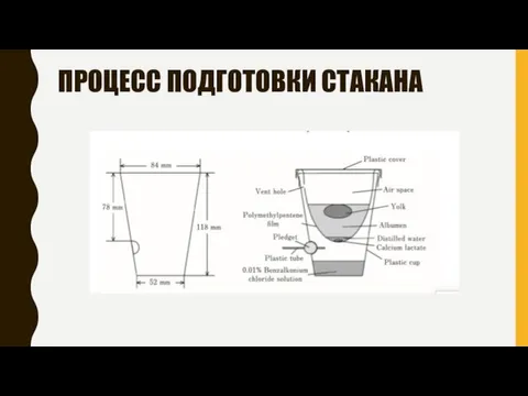 ПРОЦЕСС ПОДГОТОВКИ СТАКАНА