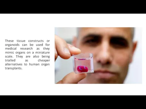 These tissue constructs or organoids can be used for medical research as
