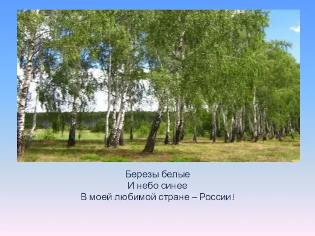 Березы белые И небо синее В моей любимой стране – России!