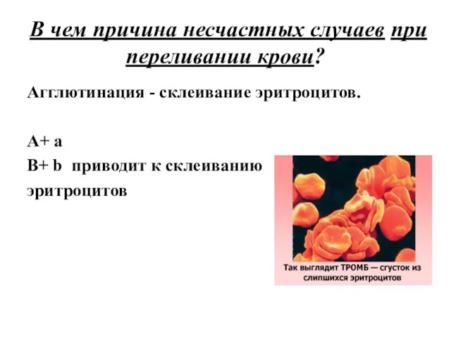 В чем причина несчастных случаев при переливании крови? Агглютинация - склеивание эритроцитов.