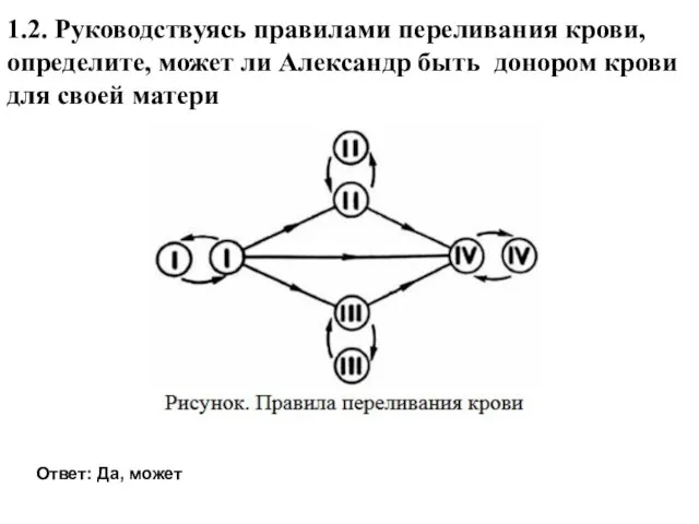 1.2. Руководствуясь правилами переливания крови, определите, может ли Александр быть донором крови