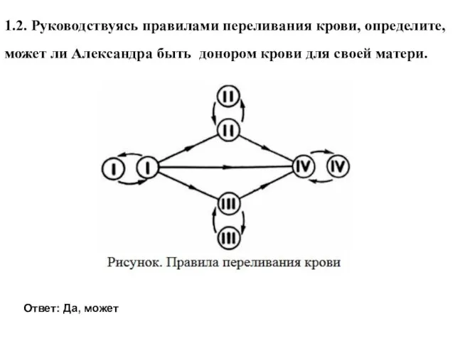 1.2. Руководствуясь правилами переливания крови, определите, может ли Александра быть донором крови