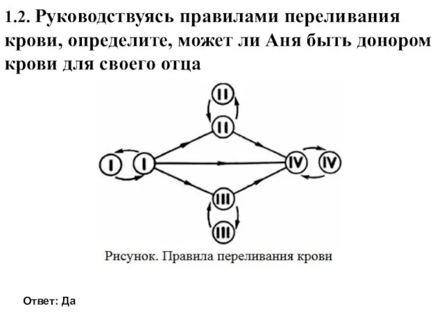 1.2. Руководствуясь правилами переливания крови, определите, может ли Аня быть донором крови