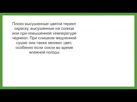 Плохо высушенные цветки теряют окраску, высушенные на солнце или при повышенной температуре