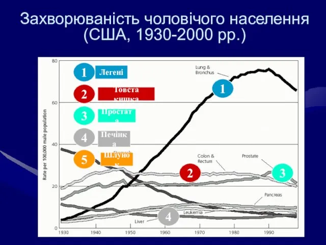 Захворюваність чоловічого населення (США, 1930-2000 рр.) 1 5 2 3 4 1