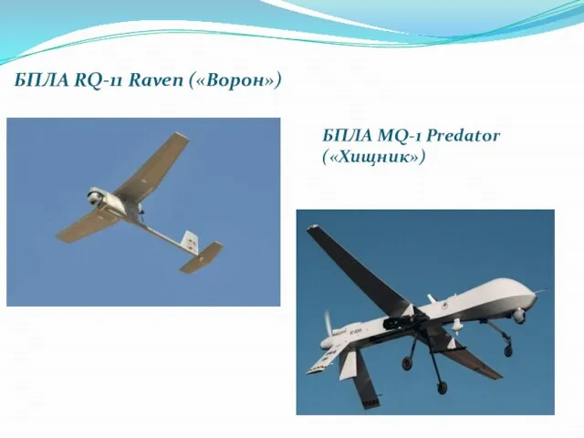 БПЛА RQ-11 Raven («Ворон») БПЛА MQ-1 Predator («Хищник»)