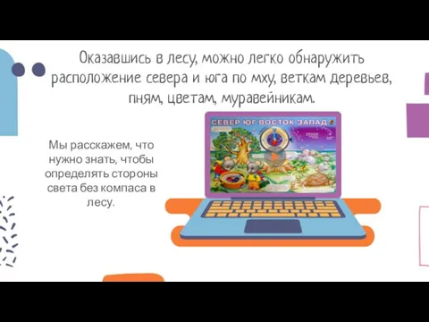 Оказавшись в лесу, можно легко обнаружить расположение севера и юга по мху,