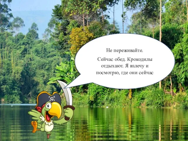 Не переживайте. Сейчас обед. Крокодилы отдыхают. Я взлечу и посмотрю, где они сейчас