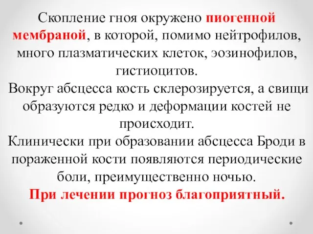 Скопление гноя окружено пиогенной мембраной, в которой, помимо нейтрофилов, много плазматических клеток,