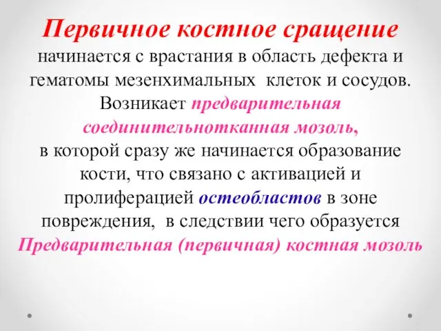 Первичное костное сращение начинается с врастания в область дефекта и гематомы мезенхимальных