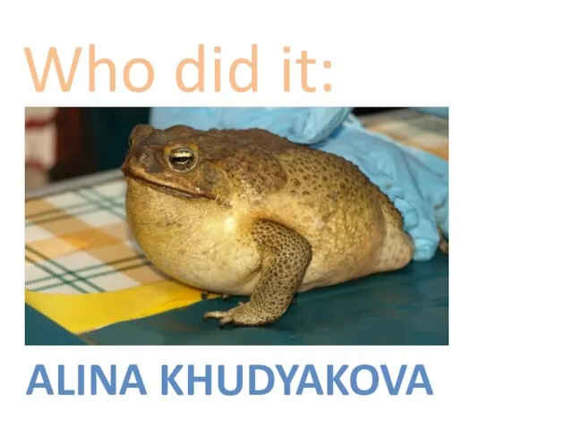 ALINA KHUDYAKOVA Who did it: