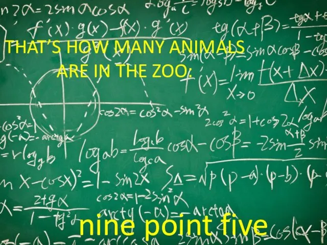 THAT’S HOW MANY ANIMALS ARE IN THE ZOO: nine point five