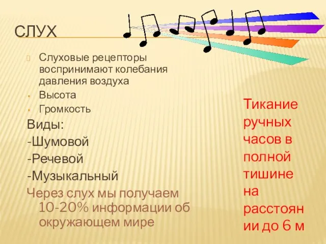 СЛУХ Слуховые рецепторы воспринимают колебания давления воздуха Высота Громкость Виды: -Шумовой -Речевой