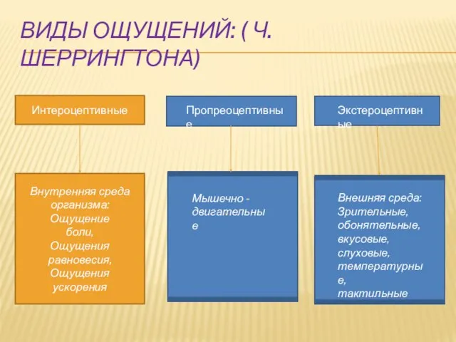 ВИДЫ ОЩУЩЕНИЙ: ( Ч.ШЕРРИНГТОНА) Интероцептивные Внутренняя среда организма: Ощущение боли, Ощущения равновесия,