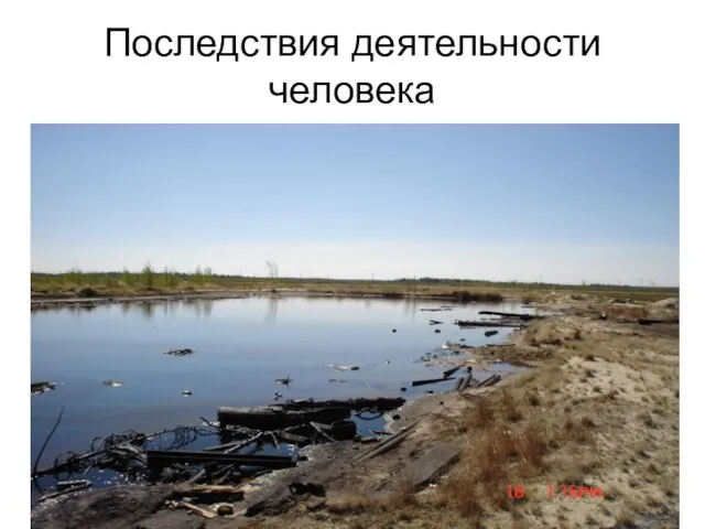 Последствия деятельности человека