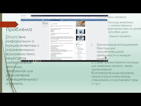 Проблема Отсутствие информации о нуждах животных с ограниченными возможностями, недостаток материальной помощи,