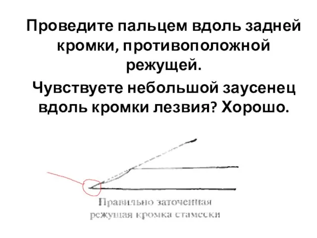 Проведите пальцем вдоль задней кромки, противоположной режущей. Чувствуете небольшой заусенец вдоль кромки лезвия? Хорошо.