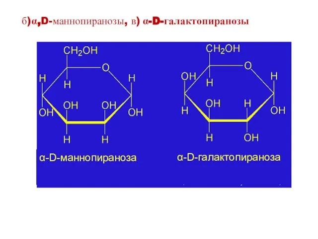 α-D-маннопираноза α-D-галактопираноза б)α,D-маннопиранозы, в) α-D-галактопиранозы