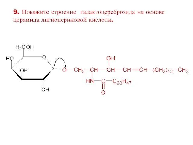 9. Покажите строение галактоцереброзида на основе церамида лигноцериновой кислоты.