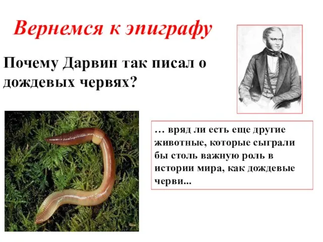 Почему Дарвин так писал о дождевых червях? Вернемся к эпиграфу … вряд