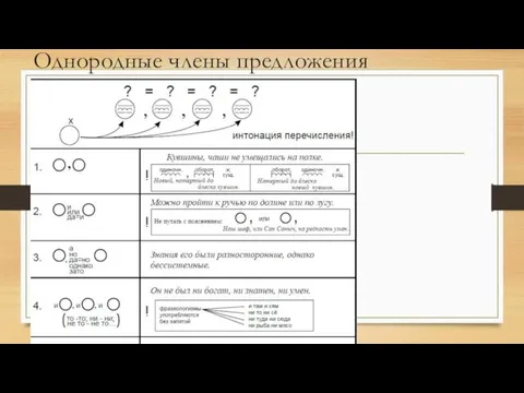 Однородные члены предложения