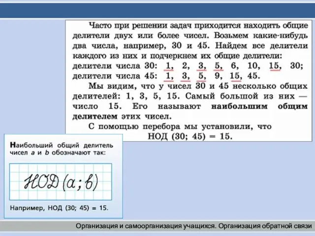 Организация и самоорганизация учащихся. Организация обратной связи