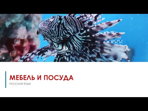 МЕБЕЛЬ И ПОСУДА РУССКИЙ ЯЗЫК