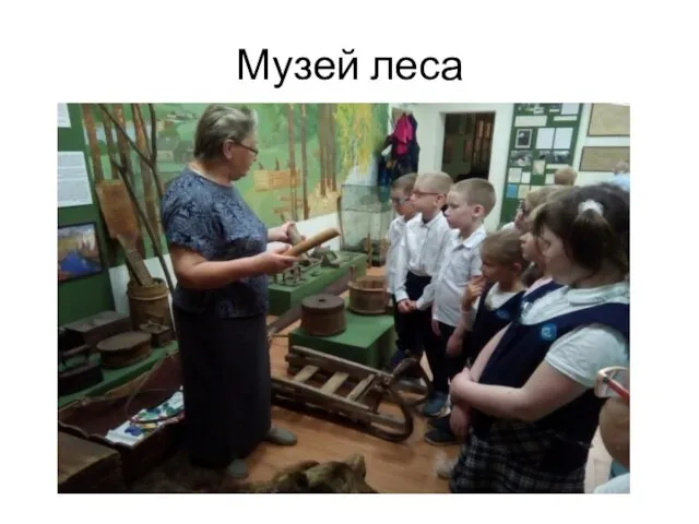 Музей леса