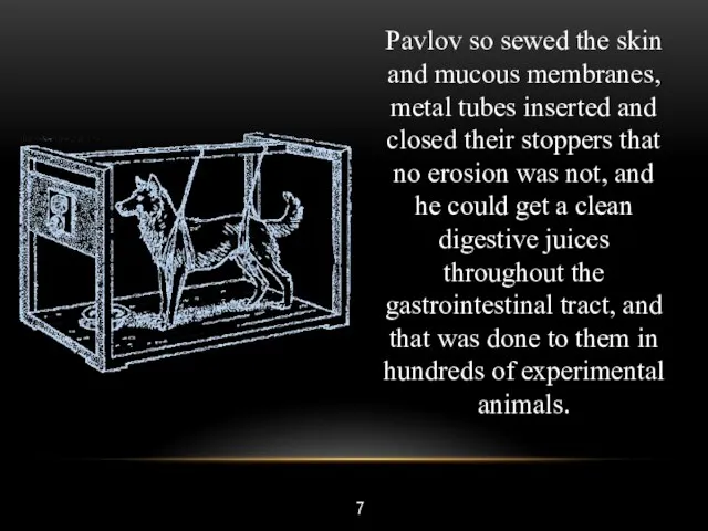 7 Pavlov so sewed the skin and mucous membranes, metal tubes inserted