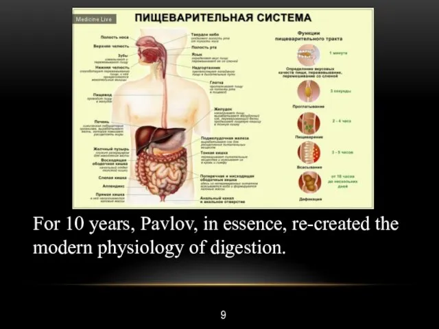 9 For 10 years, Pavlov, in essence, re-created the modern physiology of digestion.