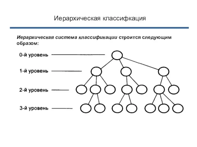 Иерархическая классифкация Иерархическая система классификации строится следующим образом: