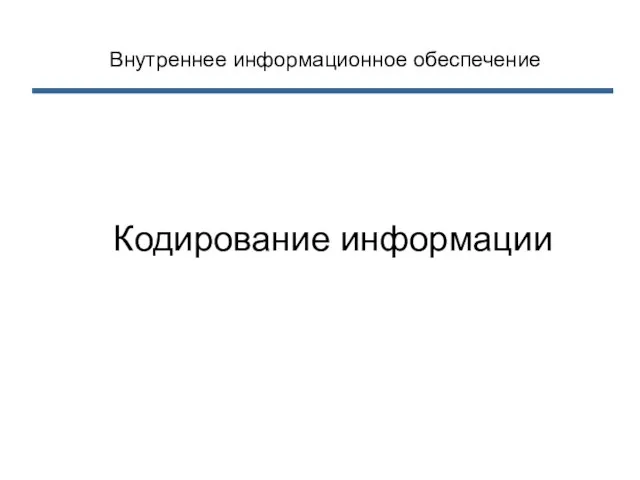 Внутреннее информационное обеспечение Кодирование информации