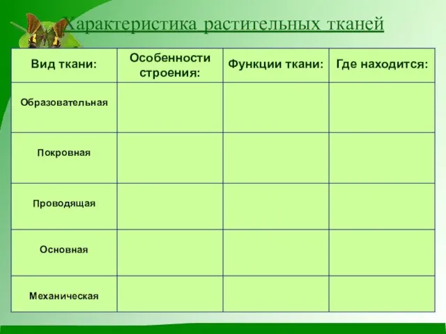 Характеристика растительных тканей