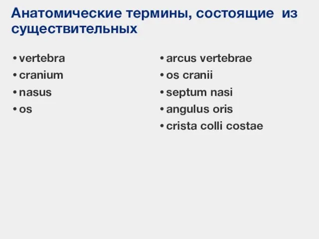 Анатомические термины, состоящие из существительных vertebra cranium nasus os arcus vertebrae os