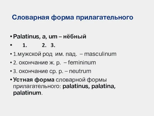 Словарная форма прилагательного Palatinus, a, um – нёбный 1. 2. 3. 1.мужской