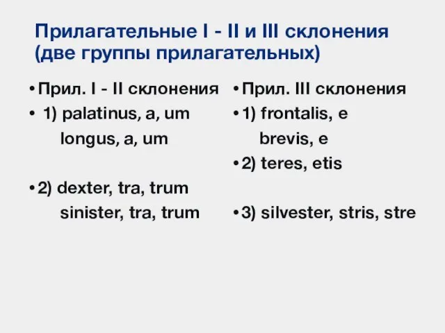 Прилагательные I - II и III склонения (две группы прилагательных) Прил. I