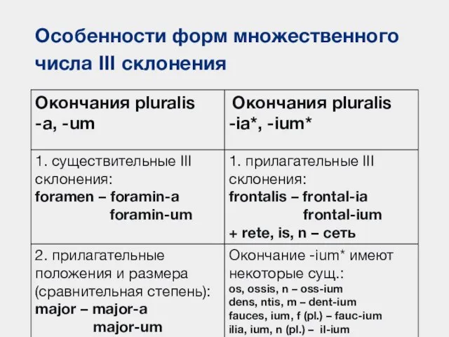 Особенности форм множественного числа III склонения