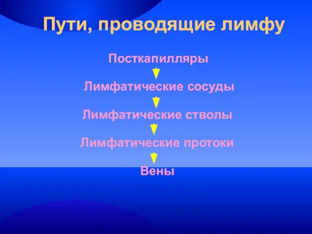 Пути, проводящие лимфу Посткапилляры Лимфатические сосуды Лимфатические стволы Лимфатические протоки Вены