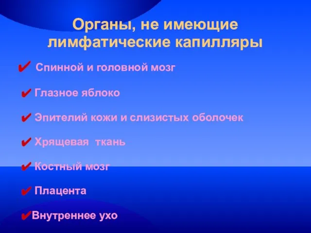 Органы, не имеющие лимфатические капилляры Спинной и головной мозг Глазное яблоко Эпителий