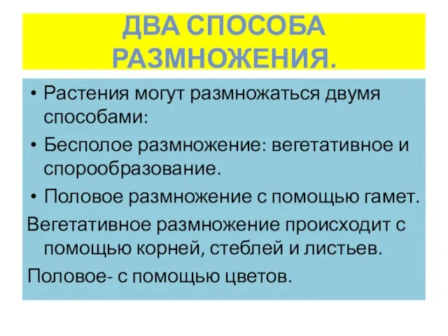 ДВА СПОСОБА РАЗМНОЖЕНИЯ. Растения могут размножаться двумя способами: Бесполое размножение: вегетативное и