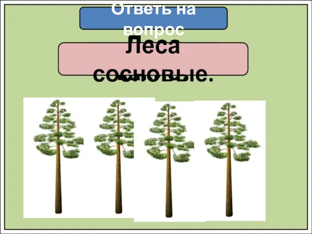 Ответь на вопрос Леса какие? Леса сосновые.